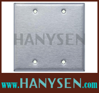 Two-Gang-Blank-Wallplate-SS